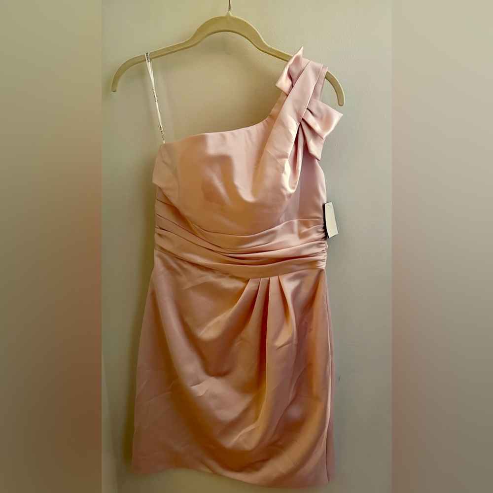 David’s Bridal Dress